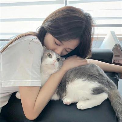 哈比王传奇